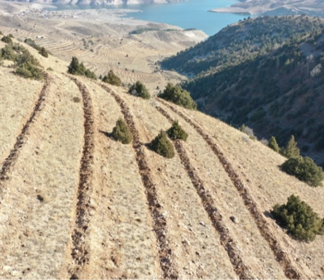 Doğu'da 9 milyon tohum ve fidan toprakla buluşturuldu