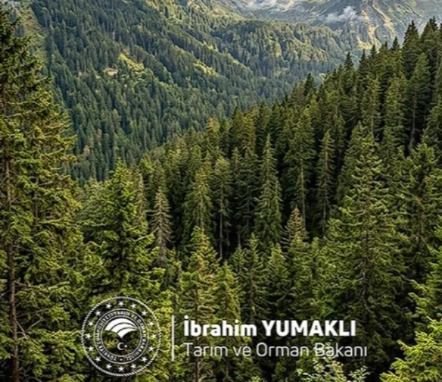 Dünya Ormancılık Günü’nde çağrı: Yeşil vatan korunacak