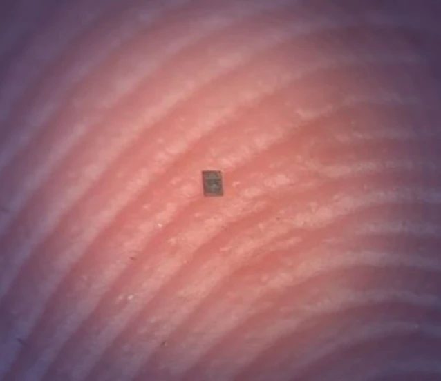 Dünyanın en küçük robotu: Kendi beyni, hafızası ve sensörü var