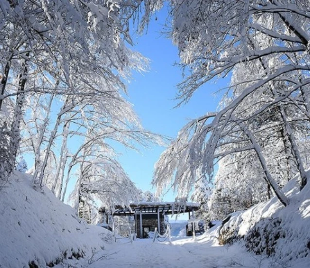 Düzce Korugöl Tabiat Parkı karla kaplandı