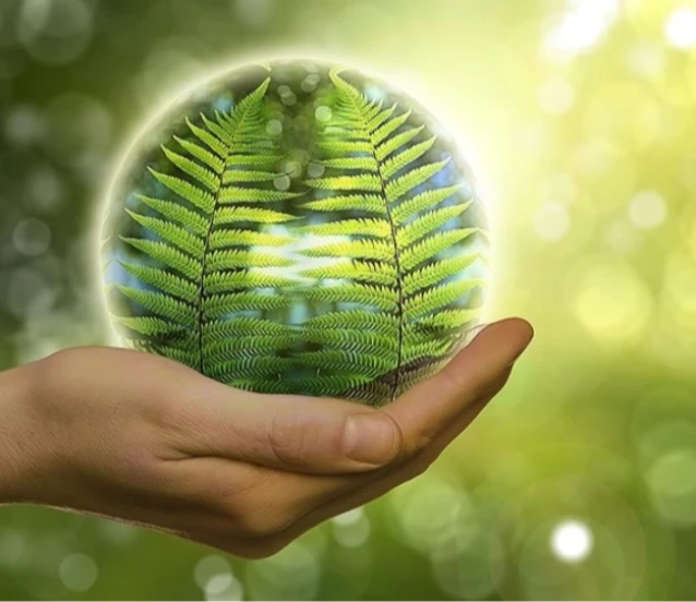 Enerjide yeni cephe! Türkiye Avrupa'ya 'Yeşil hidrojen' ihraç  edebilir