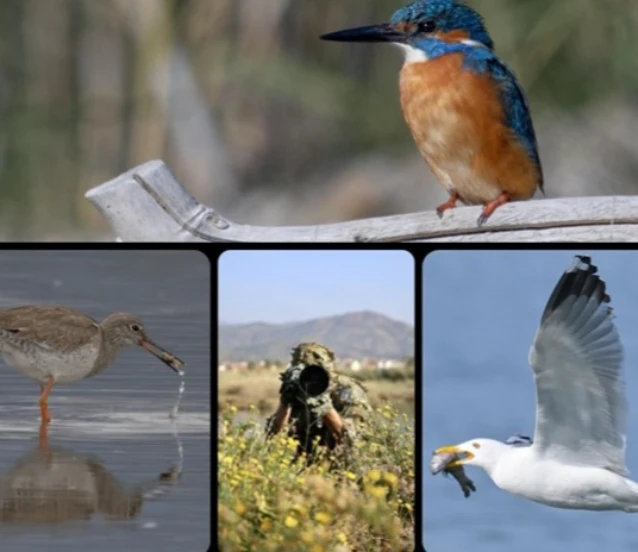 Fethiye'de Kuş Cenneti'nin sakinleri, fotoğrafçılara renkli kareler sunuyor