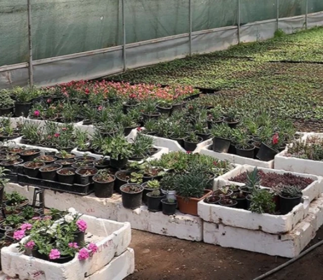 Fide sektöründe rekabet soruşturması: 18 teşebbüs ve birlik mercek altında