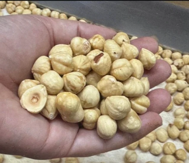 Fındık ihracatından iki ayda 351 milyon dolar gelir