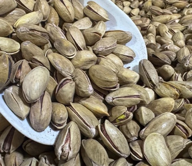 Fıstık ihracatı geriledi: İlk çeyrekte 32,8 milyon dolar gelir