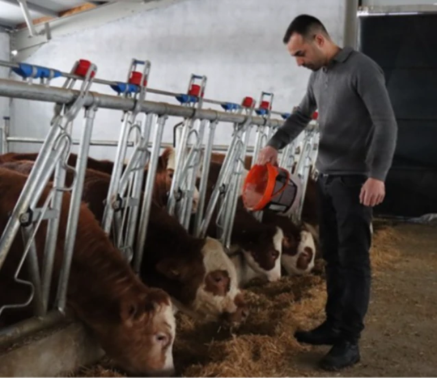 Genç girişimci devlet desteğiyle modern hayvancılığa geçti