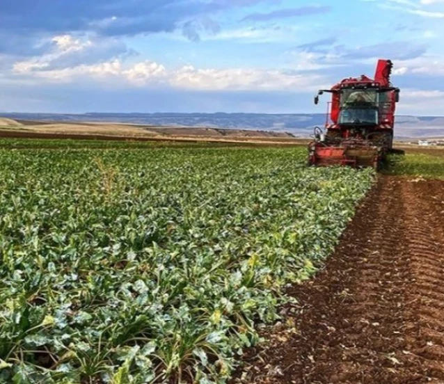 Gençlere tarımda 'Dönüş' teşviki: Bedelsiz arazi ve ucuz kredi yolda