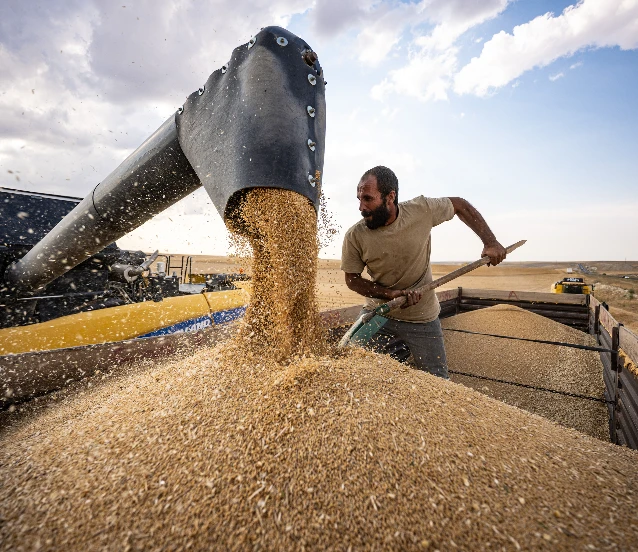 Gıda enflasyonuna karşı ilk adım KGF
