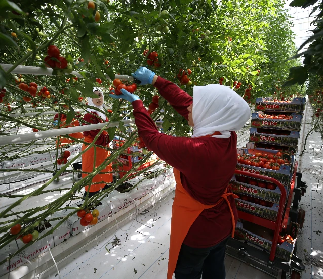 Girdi maliyetleri üreticiyi zorluyor! Hedefler için destekler sürmeli