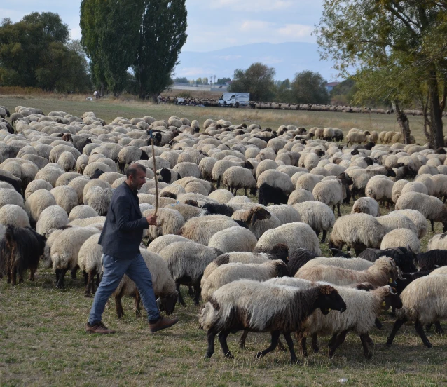 Göçerlerin yaylalardan dönüş yolculuğu başladı