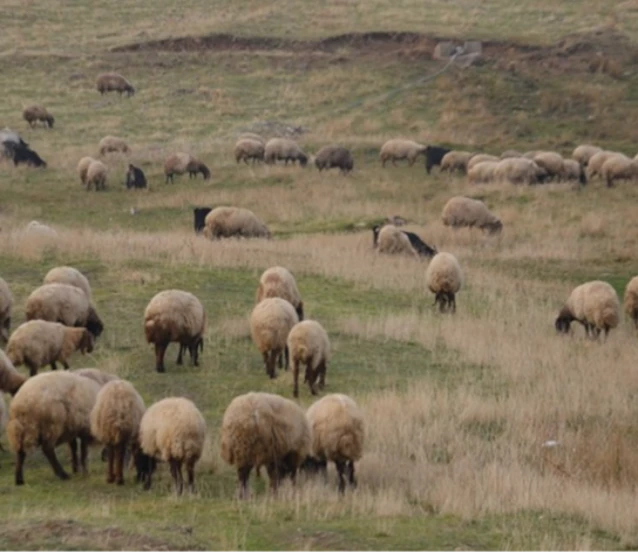 Halk elinde ıslah projelerine 2,7 milyar lira destek