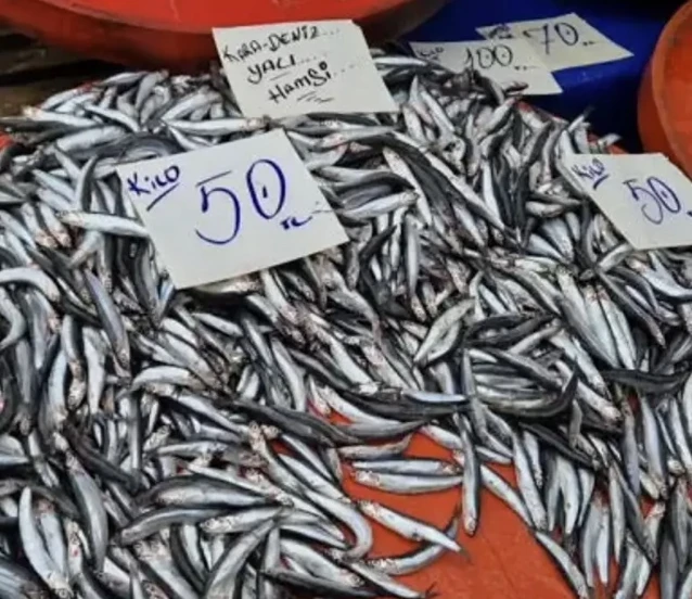 Hamside sezon bereketi: Fiyat 50 liraya kadar düştü