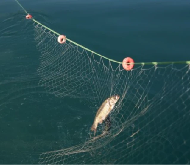 Hayalet ağlar toplanmaya devam ediyor! 5 bin metrelik dev ağ çıkarıldı