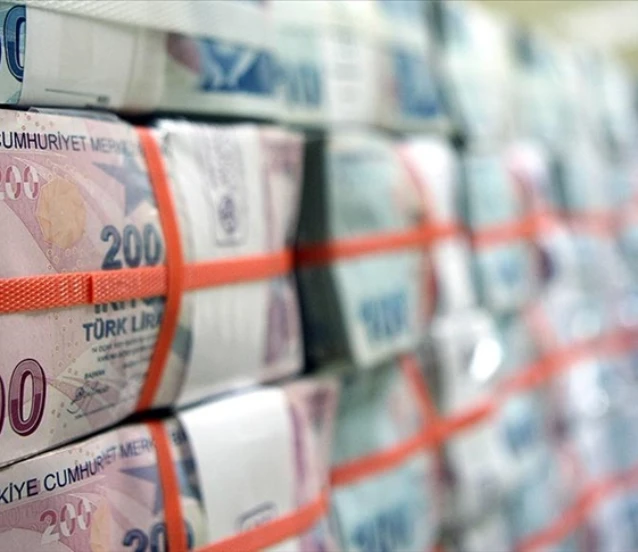 Hazine, yarın 4 yıl vadeli iki tahvil için ihaleye çıkıyor