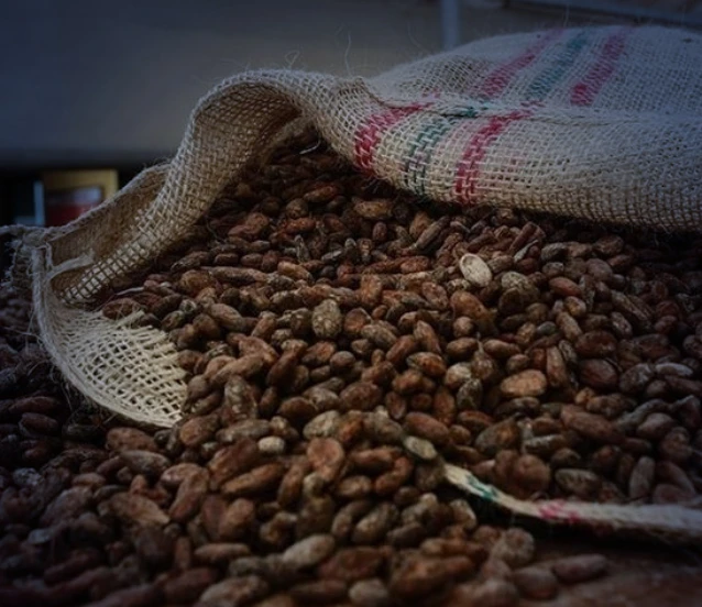 Türkiye kakaodan 1,7 milyar dolar kazandı