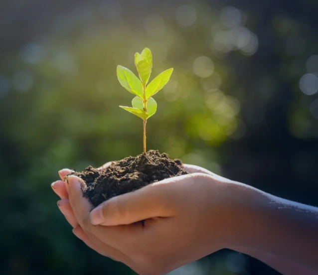 İki bakanlıktan 'yeşil vatan' iş birliği
