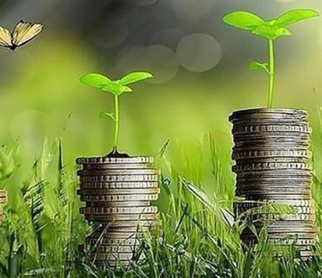 İklim finansmanında yıllık 1,3 trilyon dolar hedefi: UNFCCC 'Ulaşılabilir ve gerekli' dedi