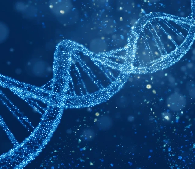 İnsan genomunun dört boyutlu haritası ilk kez çıkarıldı