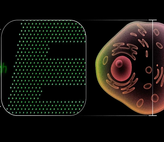 İnsan hücresinden 100 kat daha küçük pikselli nano-OLED geliştirildi