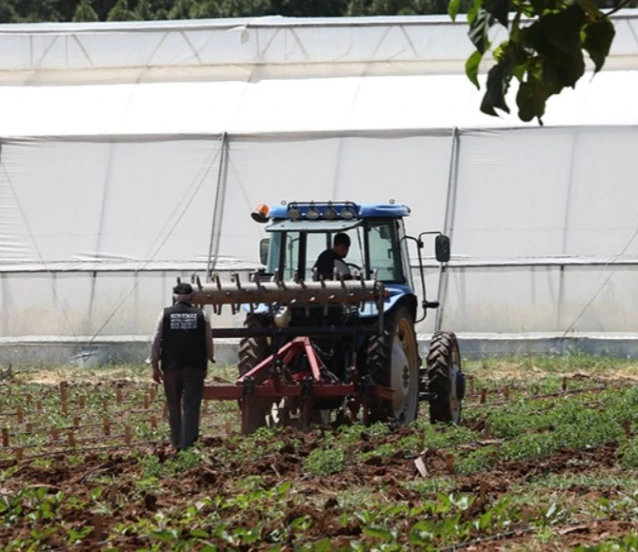 IPARD programlarıyla 14 yılda 26 bin proje desteklendi