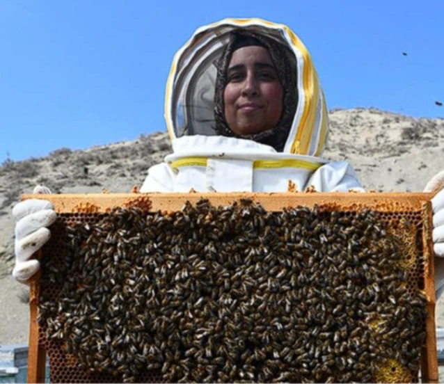 Kadın arıcıdan 3 ilde üretim: 4 çeşit bal elde ediyor
