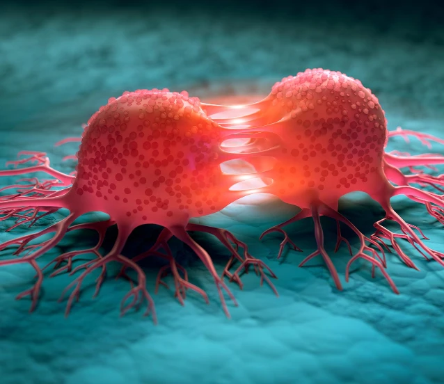 Kansere karşı biyoteknoloji: Tümörü içeriden yok eden bakteri