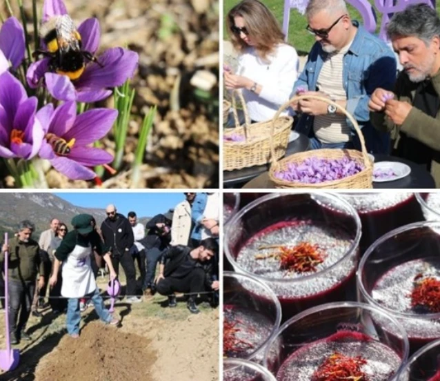 Karabük'te 'Safran İmecesi' etkinliği düzenlendi