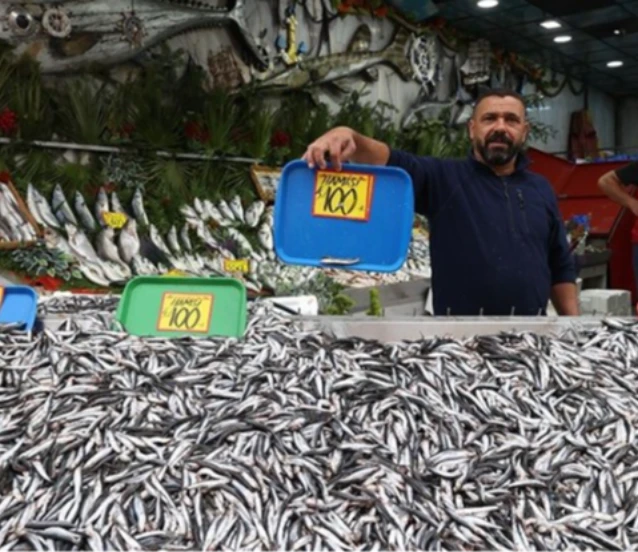 Karadeniz'de hamsi bolluğu tezgahlara yansıdı