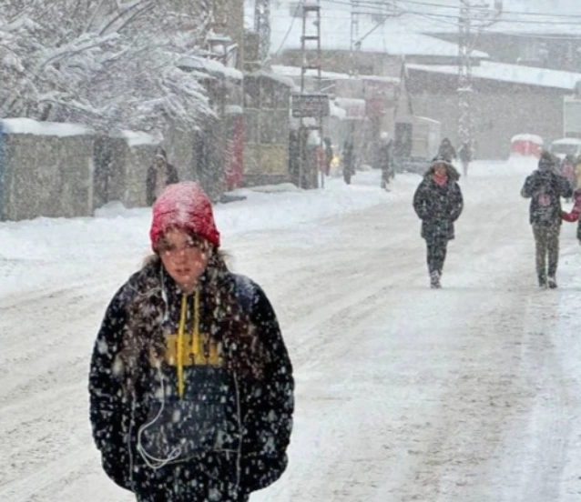 Kardan yollar kapanmıştı! Van'da köy yolları ulaşıma açıldı
