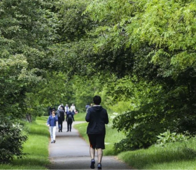 Kısa sık yürüyüş yerine uzun ve tek yürüyüş daha sağlıklı