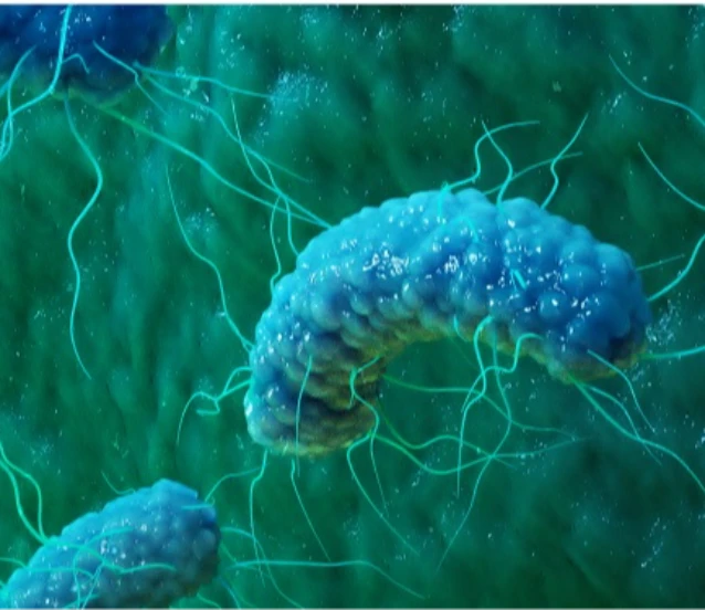 Kumaş boyamaya çevre dostu alternatif