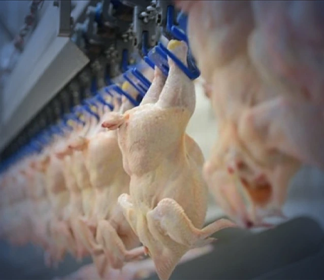 Kümes hayvancılığı verileri: Tavuk eti üretimi şubatta yıllık bazda arttı