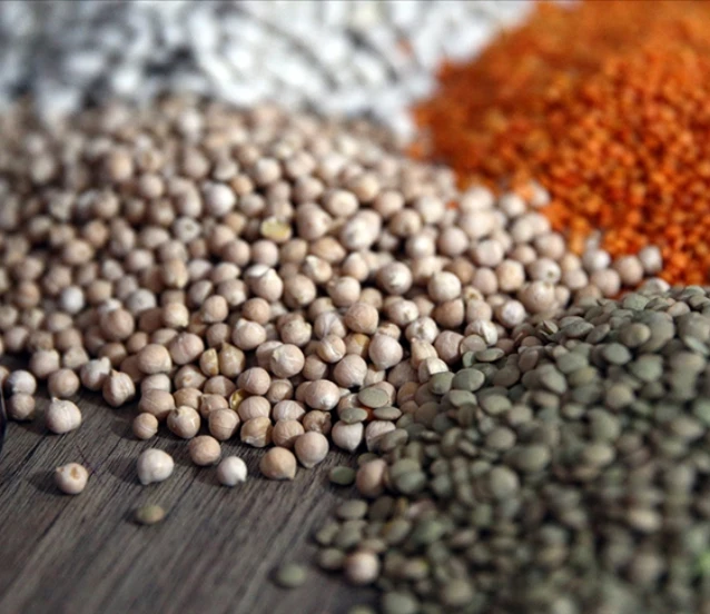 Küresel gıda fiyatları kasımda yüzde 1,2 azaldı