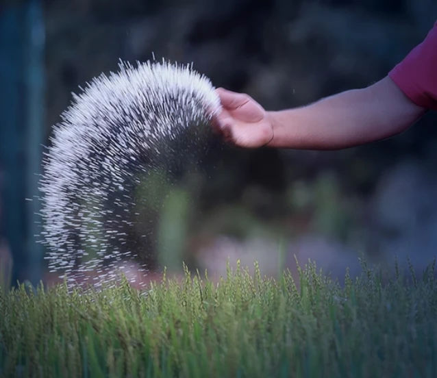 Küresel gübre krizi riski: Hürmüz Boğazı'ndaki tıkanıklık gıda güvenliğini tehdit ediyor