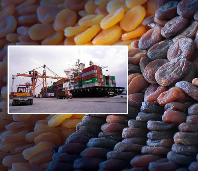 Lisanslı depoculuk etkisiyle zirai don ihracatı vurmadı!