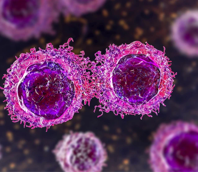 Lösemide üçlü tedavi başarısı: Bağışıklık sistemi yeniden programlandı