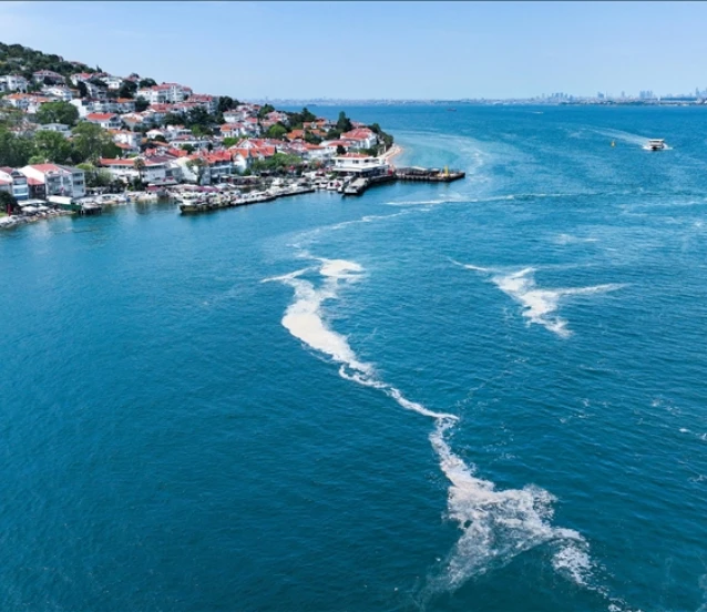 Marmara’da müsilaj incelemelerinin sonuçları açıklandı