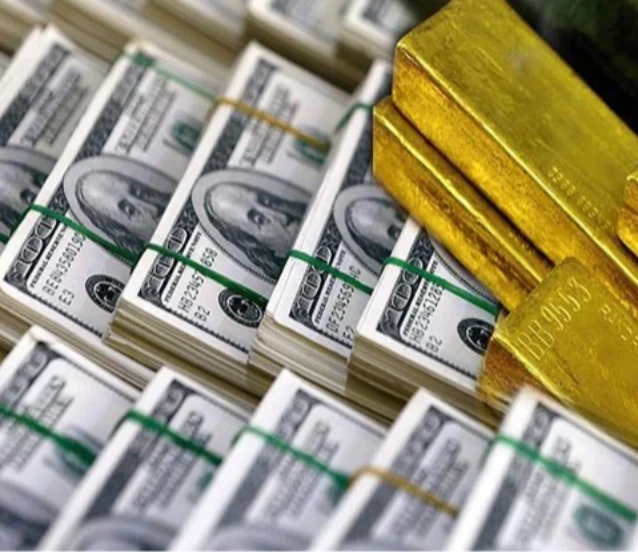 Merkez Bankası rezervlerinde yeni zirve: 186,2 milyar dolara yükseldi