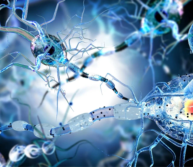MS‘te nöron kaybının sırrı çözüldü: Tedavide DNA onarımı umudu