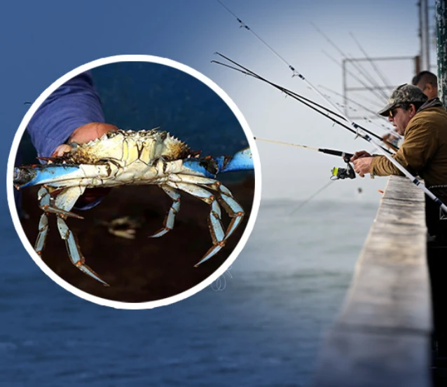 Oltasını alan sahile gitti! Kovalardakiler görenleri şaşırttı