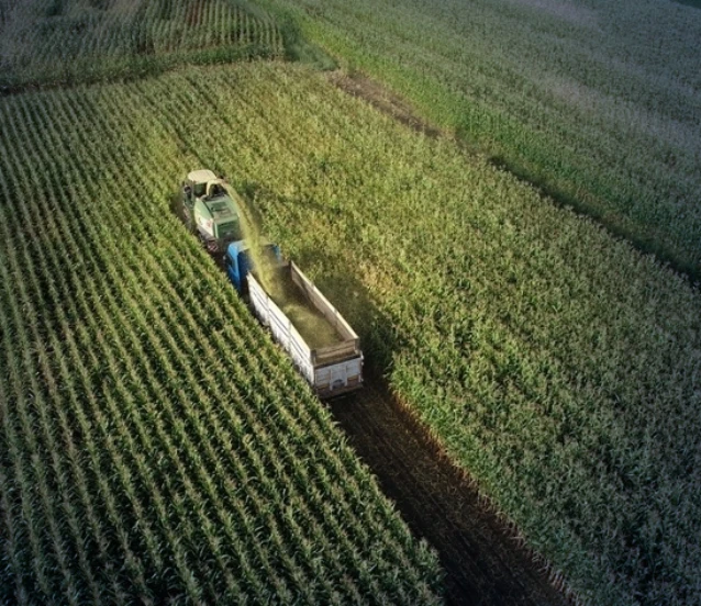 OTB'lerde üretim artıyor: 3 yılda 6 katına çıktı