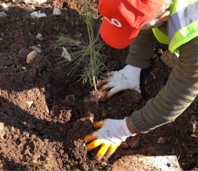 Petrol üretim üssü Gabar’da yeşil hamle başladı