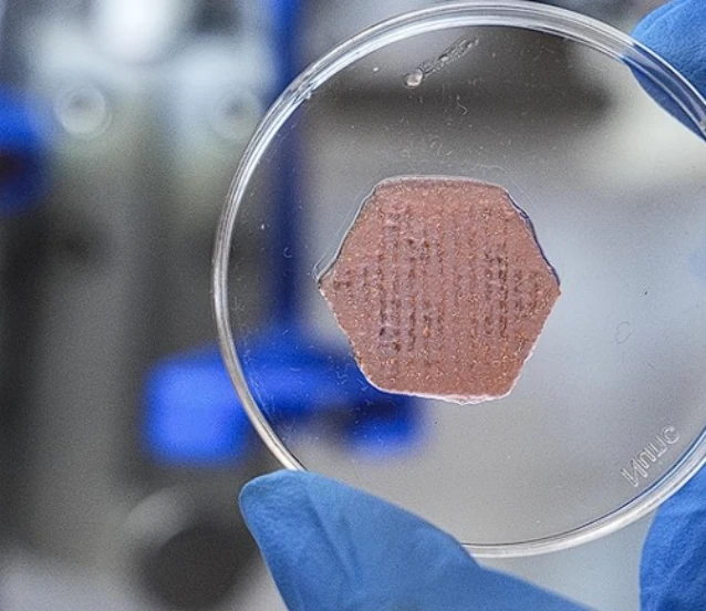 Probiyotik içeren yeni nesil yara örtüsü geliştirildi