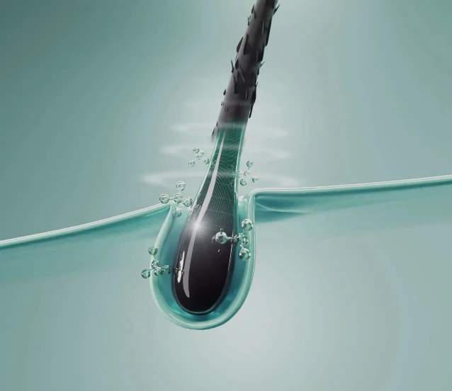 Saç hücreleri cilt onarımının anahtarı oluyor