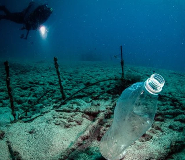 Sıfır Atık Mavi Hareketi büyüyor: Denizlerden 325 bin ton atık çıkarıldı
