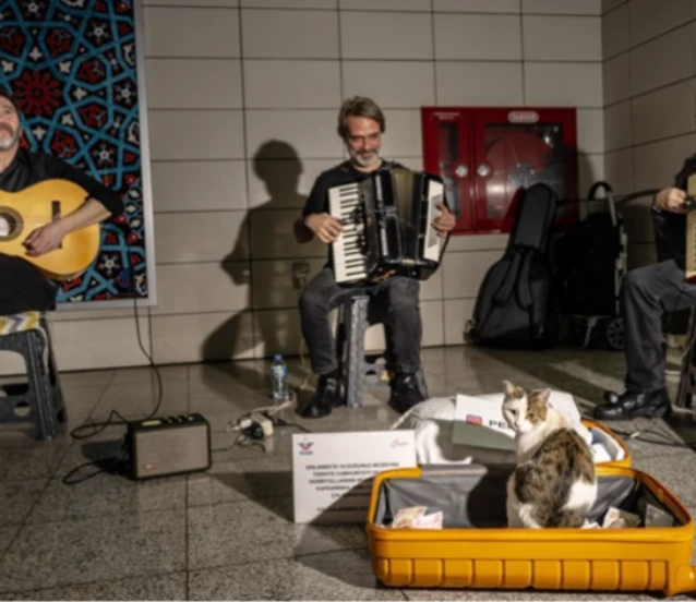 Sirkeci'de sokak sanatçılarına eşlik eden kedi yürekleri ısıtıyor