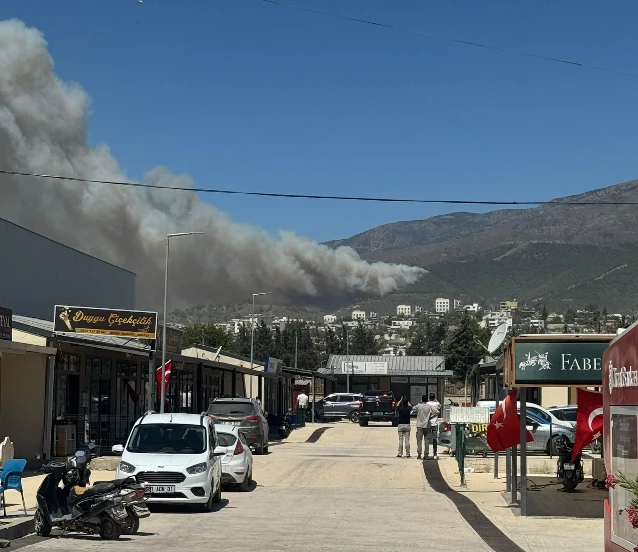 Son dakika: Hatay'da ormanlık alanda yangın çıktı