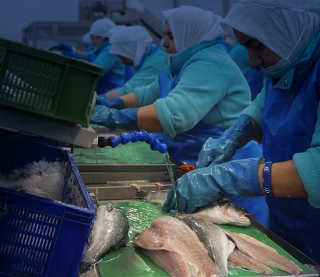 Su ürünlerinde ihracat rekoru: İlk iki ayda 381,9 milyon dolar