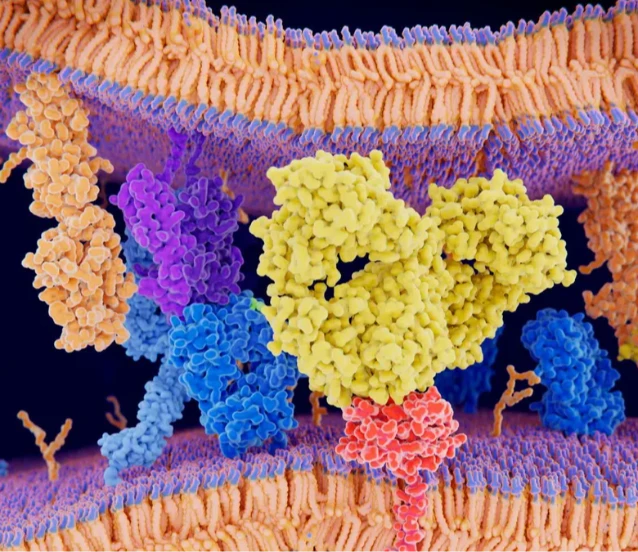 Süper bilgisayar, proteinlerin gizli dilini çözdü