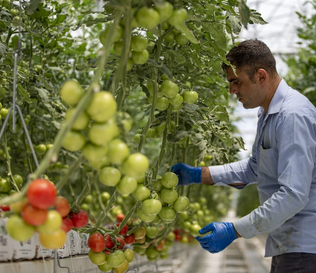 Tarım gençleşerek büyüyecek